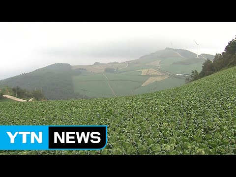 지구 온난화로 북상하는 농작물 / YTN
