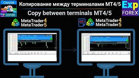 Рус. Копировщик сделок COPYLOT для MT4 и MT5 с реверсом