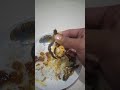 Makan rica-rica ayam,belut dan entok #ricaricabelut #ricaricaayam #ricaricamentok