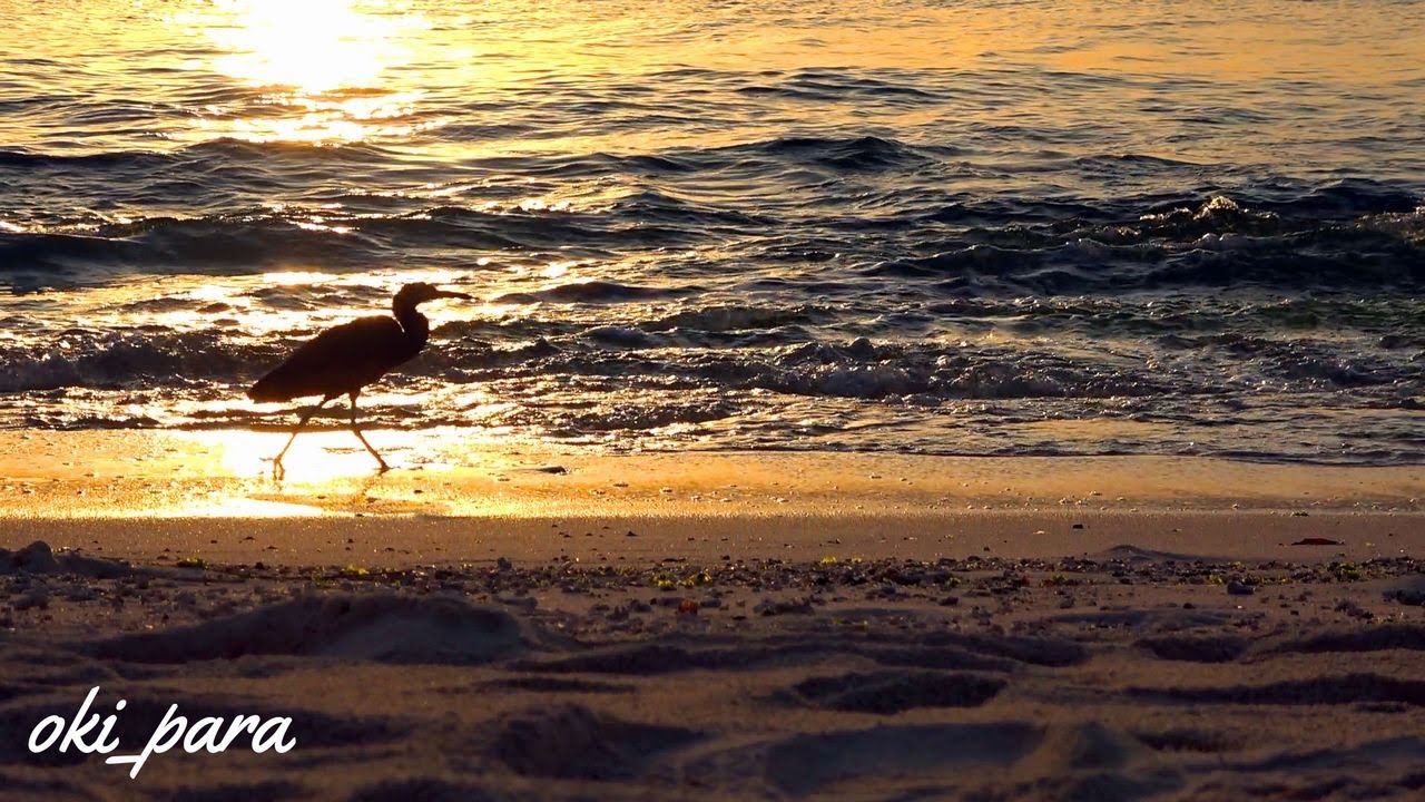 夕焼けに照らされた沖縄の海 夕焼けに照らされた沖縄の海 （美しい海とオレンジに染まる