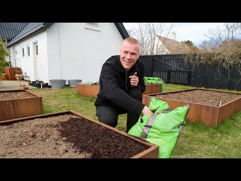 Video: Hvordan holder man jordbær frugtbare?