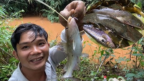 Câu cá suối không ngờ trúng điểm cá ăn mạnh đến vậy .cá lăng,trê,chốt bò thi nhau ăn mồi