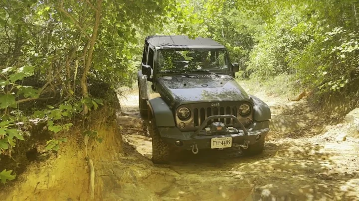 Stony Lonesome Trail 404