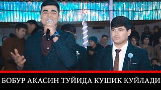 Бобур акасини туйида кушик айти