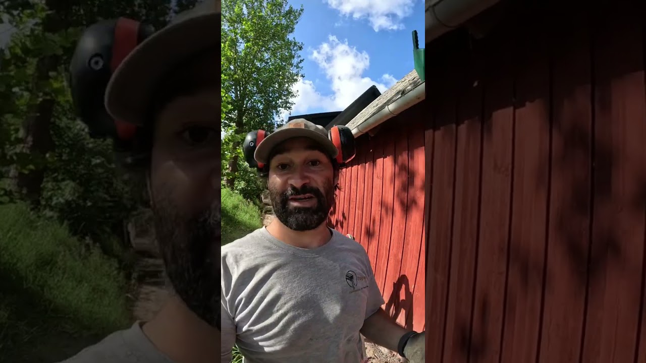 Sådan renser du dine tagrender…