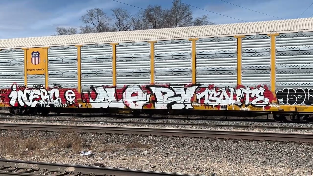 Slow moving graffiti railroad train