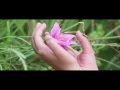 Bridgestone ECOPIA Whatsapp Status Video Download Free