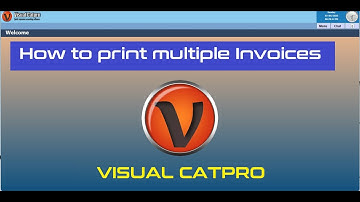 How to Print Multiple Invoices at one time #visualcatpro