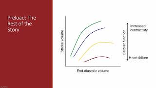 Hemodynamic monitoring