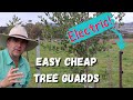 Fast Tip: Use Your Fence as a Tree Guard!
