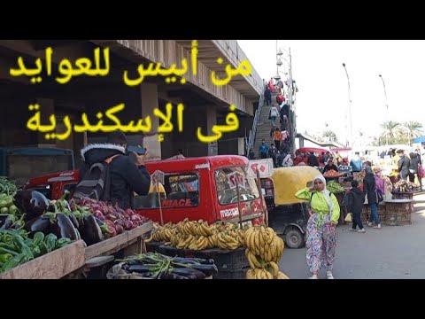 أبيس العاشرة وطريق اسكندرية الزراعى وصولا للعوايد