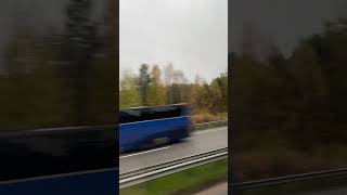 Золота осінь🤗#uk #україна #осінь2025