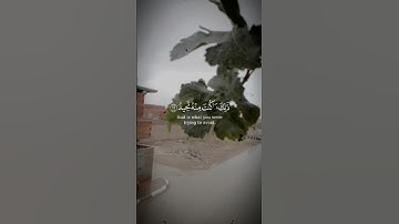 ✅#وجاءت سكرة الموت بالحق#من سورة قاف#مقروءه بصوت ياسر الدوسر🎧🫵😭