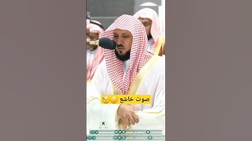 كَلَّا إِذَا بَلَغَتِ التَّرَاقِيَ _ تلاوة خاشعة ومؤثرة للشيخ ماهر المعيقلي من سورة القيامة