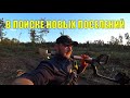 В поиске новых поселений