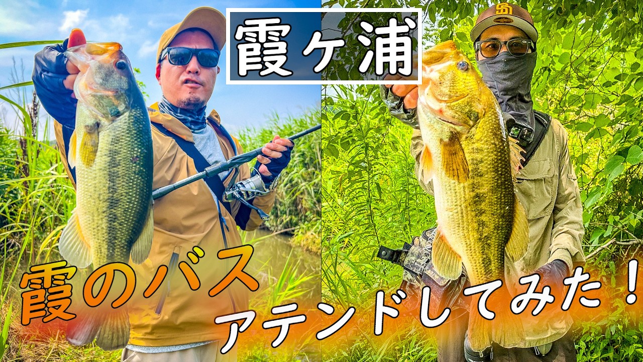 【バス釣り】霞のバスをアテンドしてみた！【霞ヶ浦】