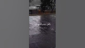 سورة ق |شايع التميمي #راحة_نفسية #هدوء #تلاوات_خاشعة #قرآن #كريم #satisfying #ريلز #trending #موعظة