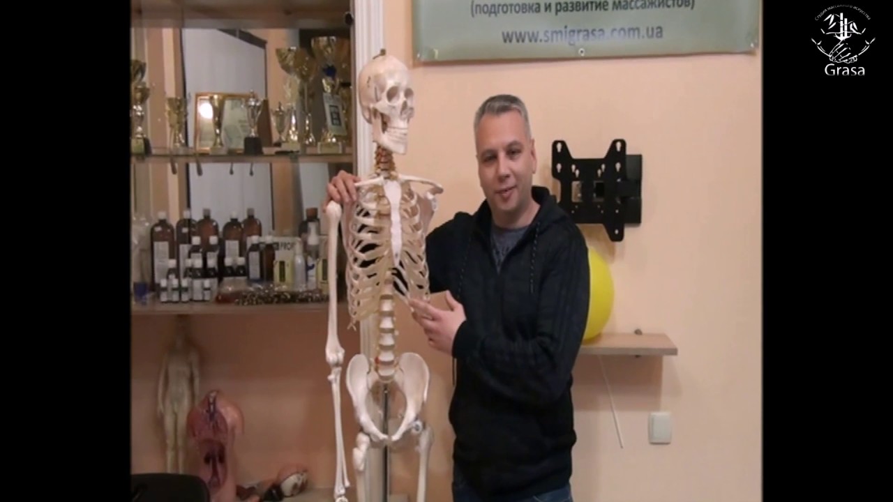 Видеоотзыв Сергея Егорова о семинаре Холодова С.А. по функциональной анатомии 3-5.02.17 video editing software free