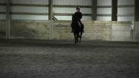 Gladheart Linhawk Schooling Tempis 18Jan15