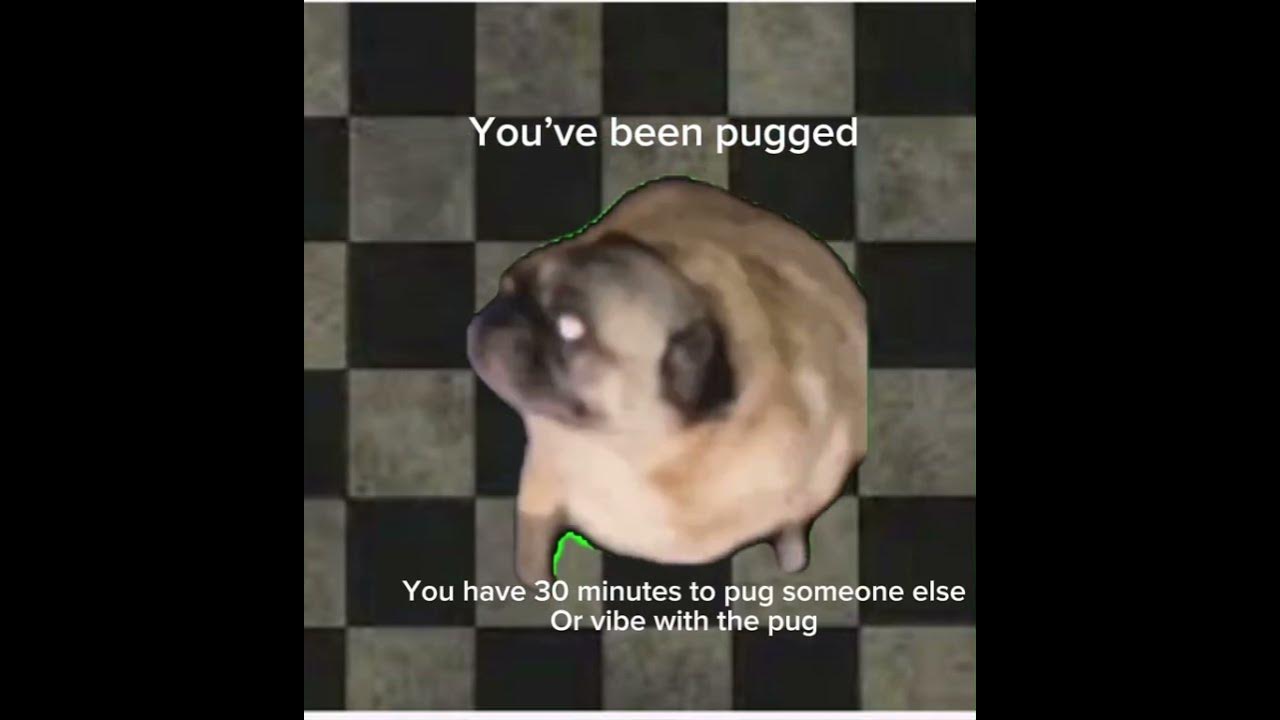 You have been pugged youtube