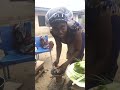 Live highlight