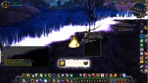 Mists of Pandaria Level 85 to 90 in 30 Seconds