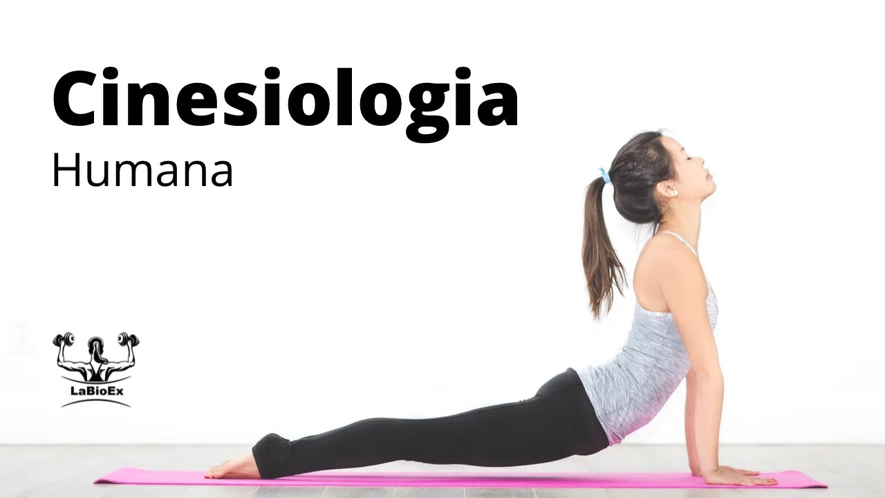 Você vai aprender as 3 bases da cinesiologia humana com Prof. Dr. Aderbal Aguiar (UFSC)