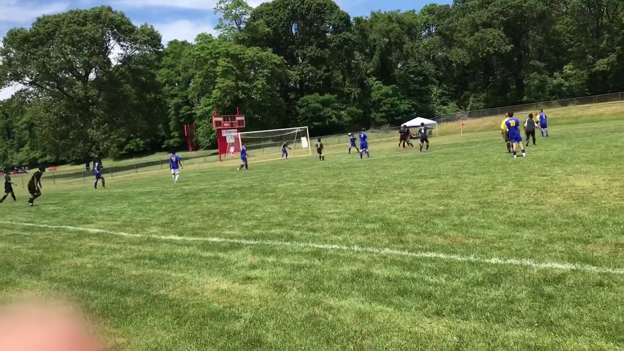 Top Bins in New Jersey ️ YouTube