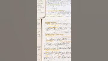 Discover the Art of Handwriting: Aesthetic Fonts & Stationery #handwriting