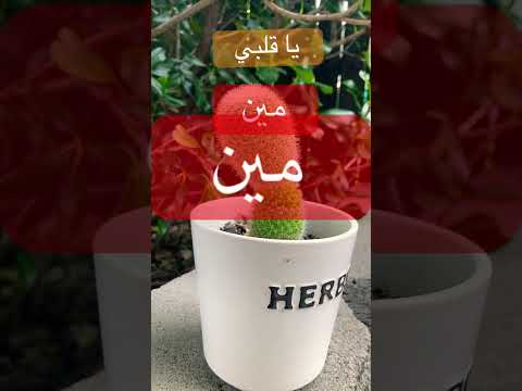 يا قلبي مين اللي حاسس بيك الحب الأولاني جورج وسوف