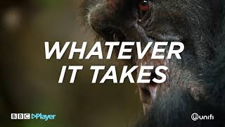 Dynasties - BBC Player Malaysia
