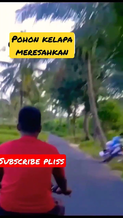 ketiban rejeki ketiban kelapa #shortlucu
