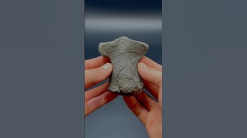 Here’s an outstanding example of an Ichthyosaur Humerus roughly 180 Million years old! 😍🦕