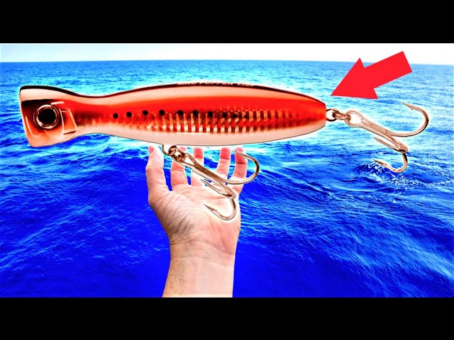 This IS WHY you fish GIANT POPPERS! 