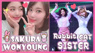 (EN SUB) IZONE - Sakura ❤︎ Wonyoung / Cat Rabbit Moments #아이즈원  #アイズワン,