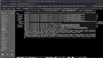 DICOM RT processing in ePad