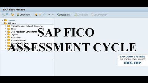SAP CO ASSESSMENT CYCLE PART-1