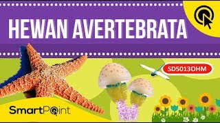 6800 Gambar Hewan Invertebrata Dari Plastisin HD