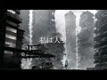 私は人？ / 可不 & 狐子