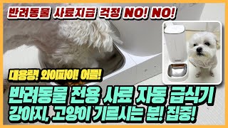 (4K)[리뷰] 강아지, 고양이를 위한 로제코 사료 자동 급식기 대용량 4L 리뷰 | 와이파이 어플 비상용배터리 가성비