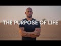 Andrew tate the purpose of life  motivational