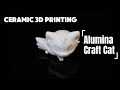 From Powder to Perfection: 3D Printed Alumina Ceramic Cat | Ceramic 3D Printing Demo