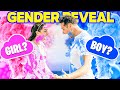 The Official GENDER REVEAL of THAT BRAZILIAN COUPLE!!!