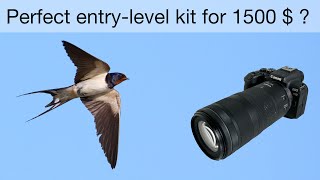 The perfect wildlife equipment for beginners - Canon R10 + RF100-400mm