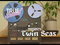 Capture de la vidéo Twin Seas Live At True Sound Recording (Full Session)