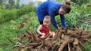 The mother and child dug up cassava tubers to sell to earn money to support their children