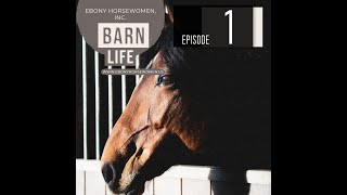 Barn life - ep. 1