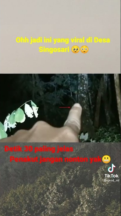 Story wa detik detik penampakan terjelas LAMPOR yang lagi viral di jawa🔥viral di tiktok