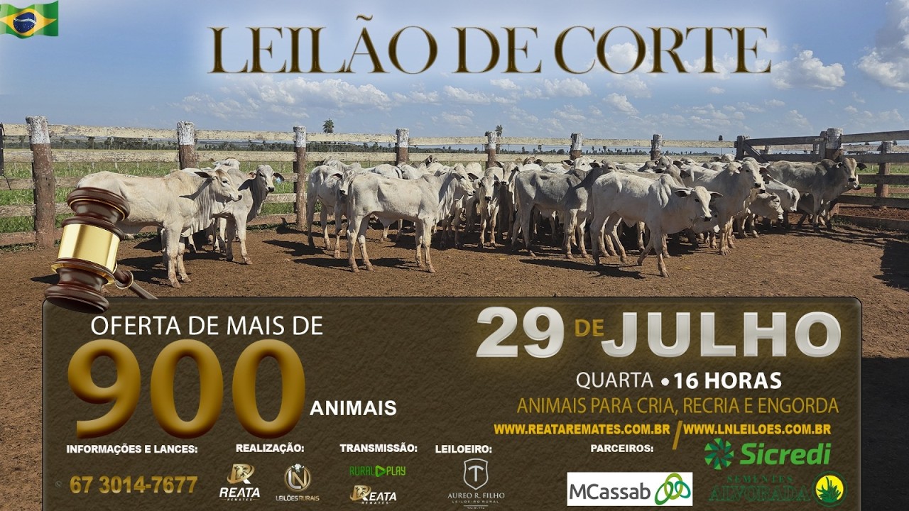 LEILÃO VIRTUAL REATA REMATES & LN LEILÕES - CAMPO GRANDE/MS - RURAL PLAY