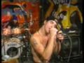 Red Hot Chili Peppers - Yertle the Turtle - nozems-a-gogo